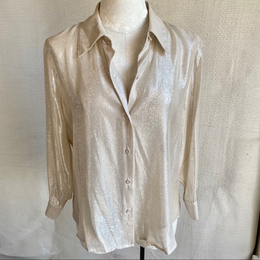 Vintage Sparkly Silk Champagne Long Sleeved Blouse - Picture 4 of 13